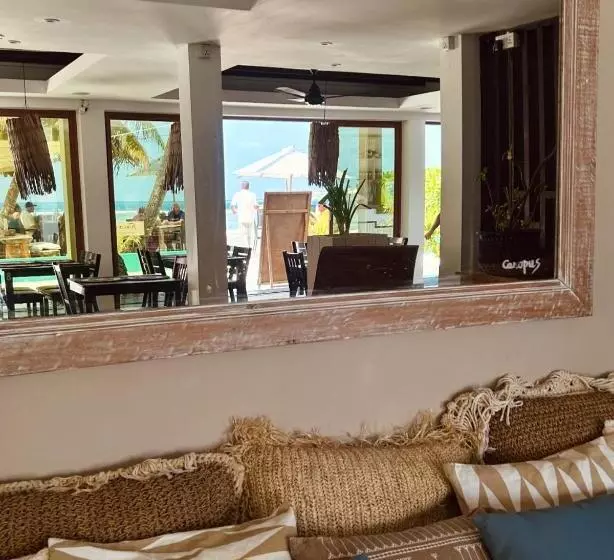 هتل Canopus Retreat Thulusdhoo