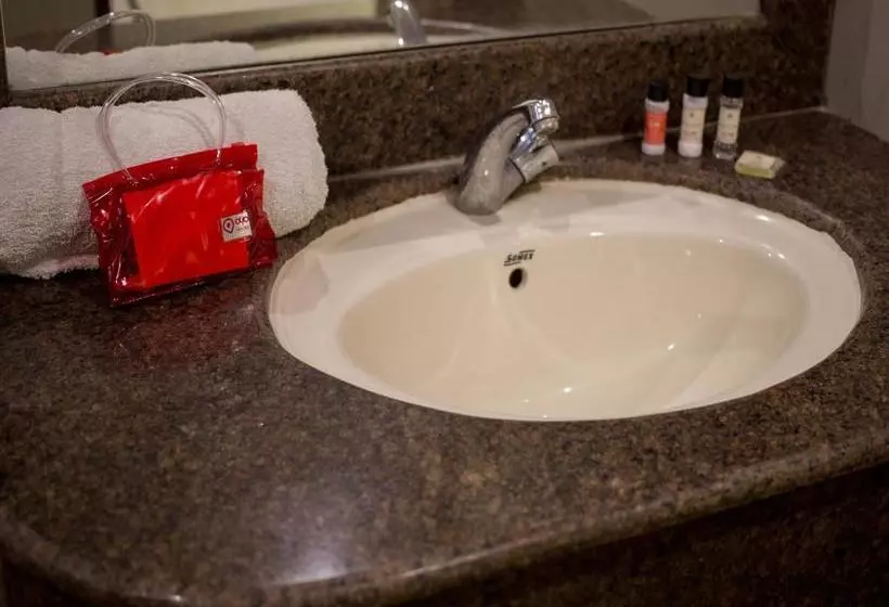 The Gagan Plaza Hotel Kanpur