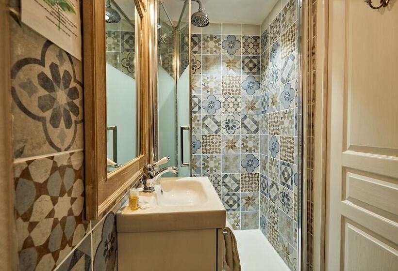 בית מלון כפרי Saint Etienne