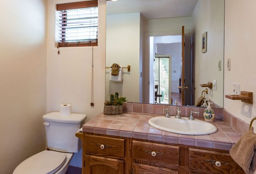 Inside Yosemite Mountain Beauty