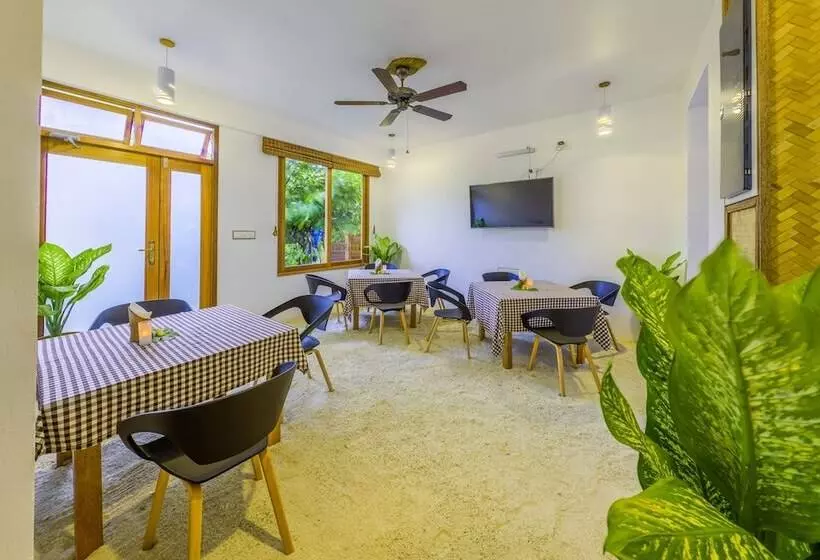 پانسیون Ameera Maldives