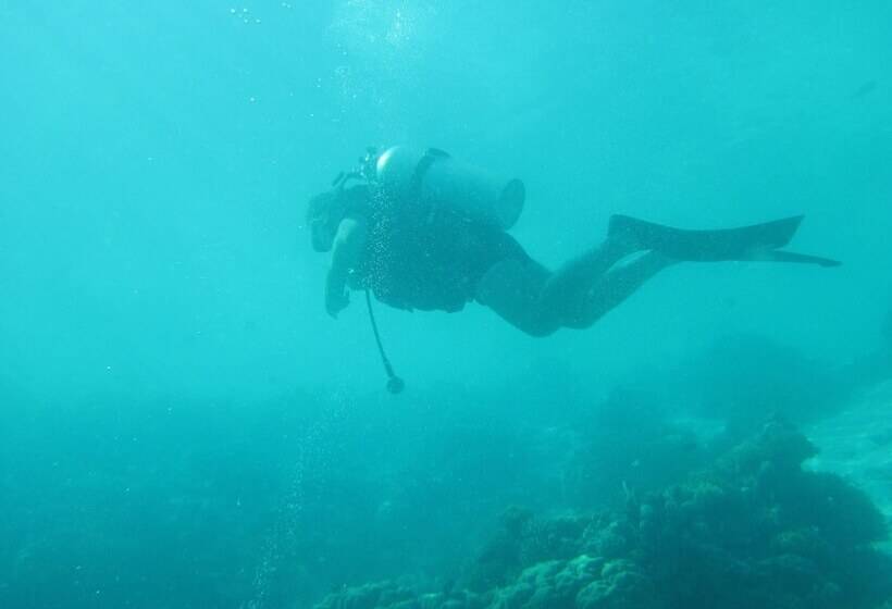 پانسیون Ameera Maldives