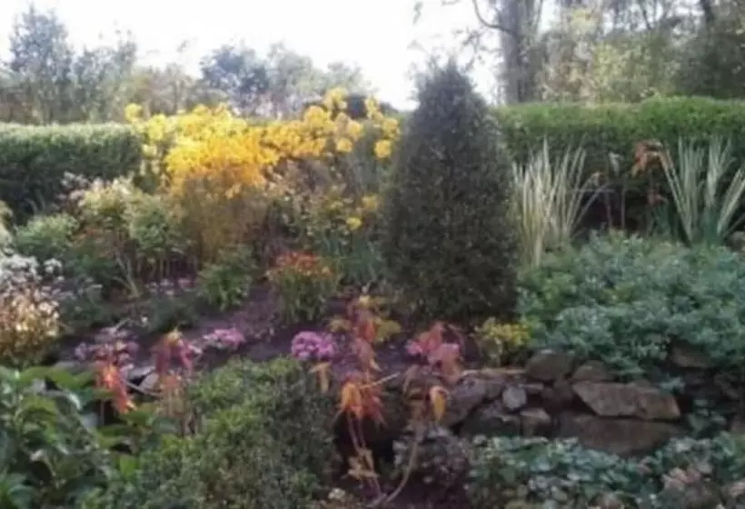 Aamiaismajoitus (B&B) The Buck School Inn