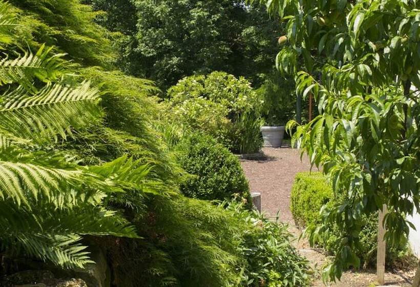 Bed and Breakfast The Buck School Inn