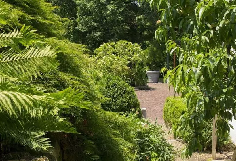 Aamiaismajoitus (B&B) The Buck School Inn