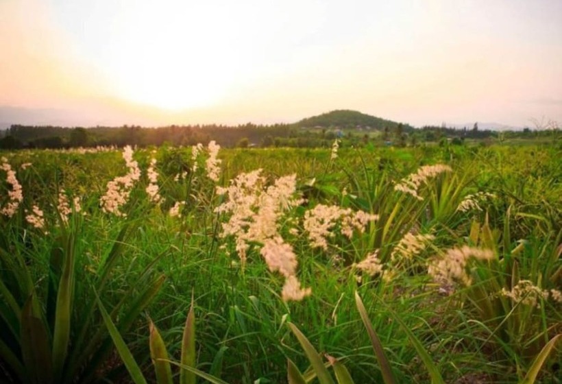 فندق Baanrai Areeya