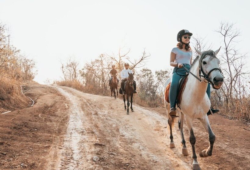 هتل Nyaung Shwe City