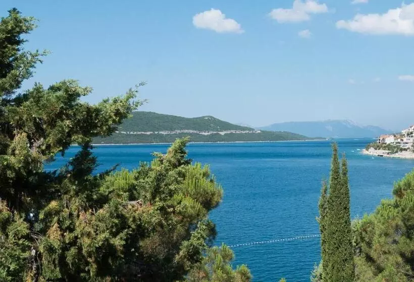 هتل Zenit Neum