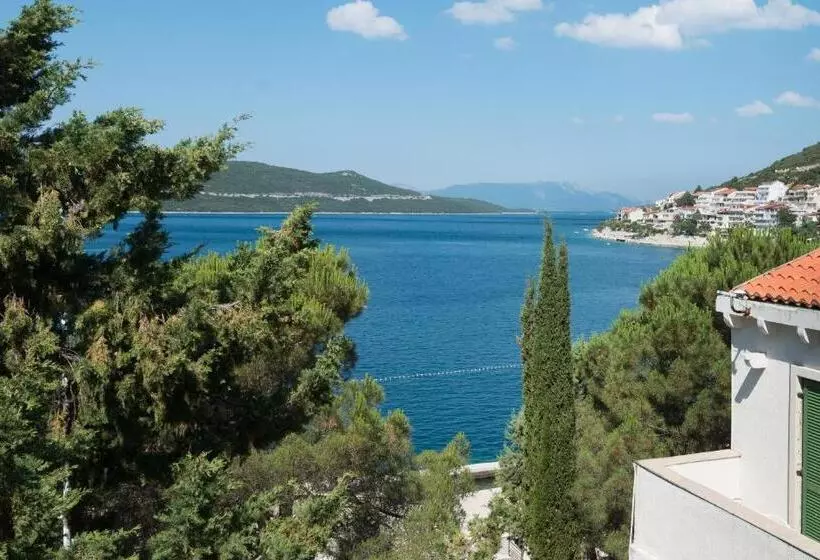هتل Zenit Neum