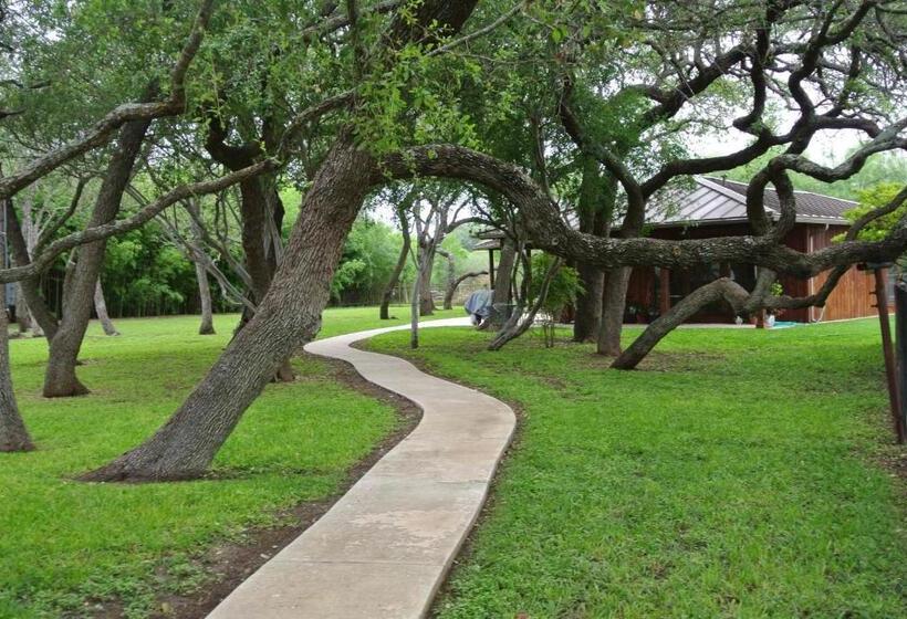 Live Oaks Bed And Breakfast