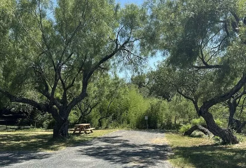 Live Oaks Bed And Breakfast