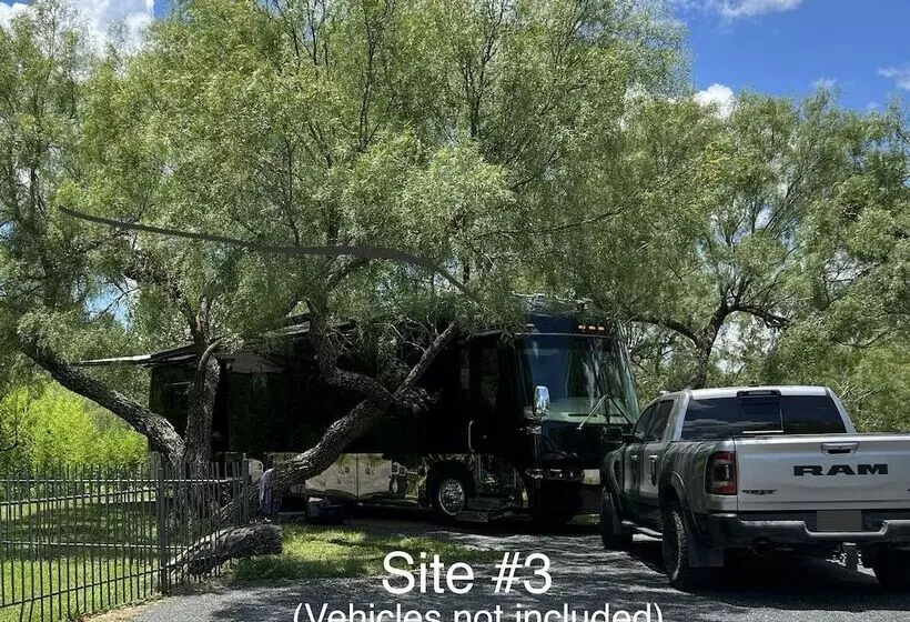 Live Oaks Bed And Breakfast