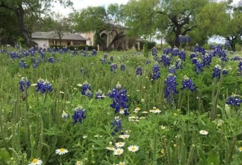 Live Oaks Bed And Breakfast