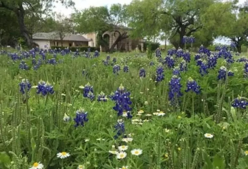Live Oaks Bed And Breakfast