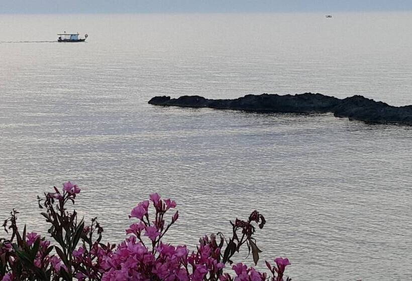 Sun Camero Apartments