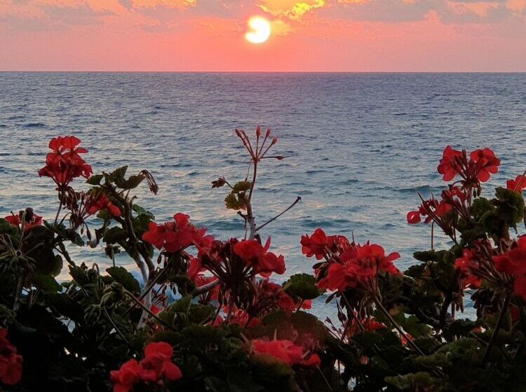 Sun Camero Apartments