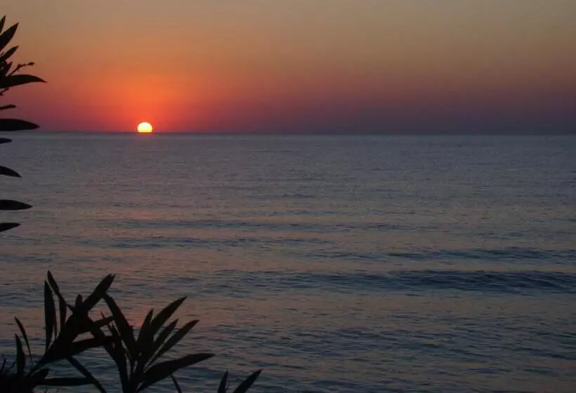 Sun Camero Apartments