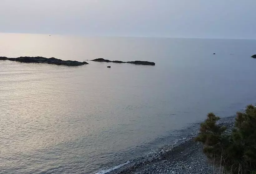 Sun Camero Apartments