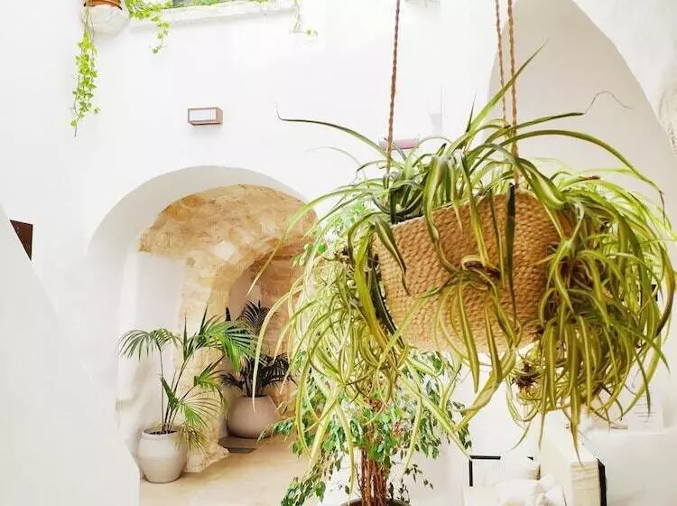 ユースホステル Gh Dimora Sant Anna