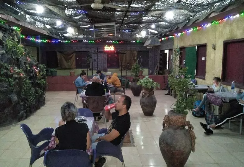 هاستل New Palace