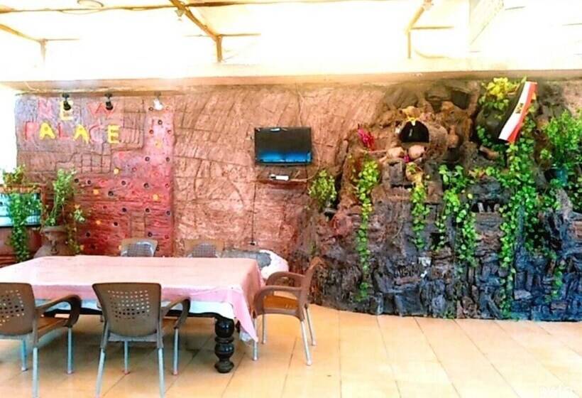 هاستل New Palace