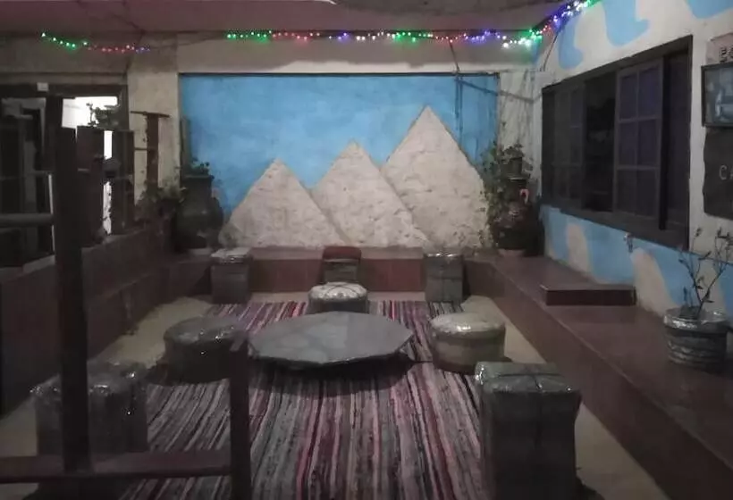 هاستل New Palace