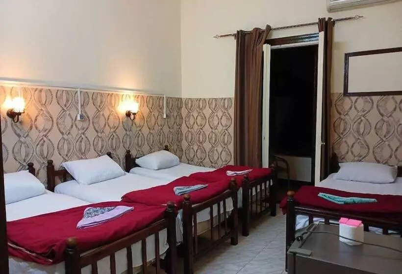 هاستل New Palace