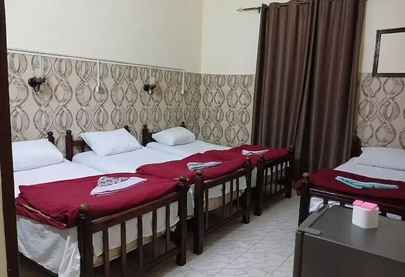 هاستل New Palace