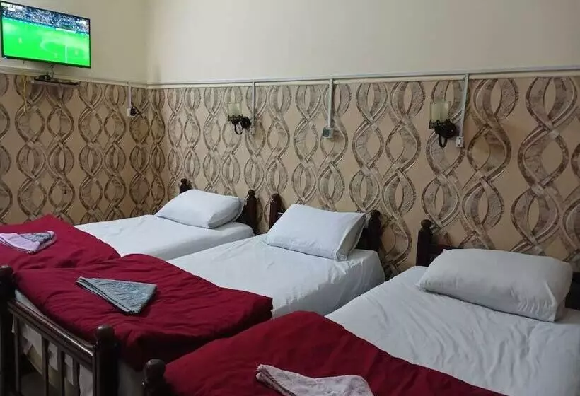 هاستل New Palace