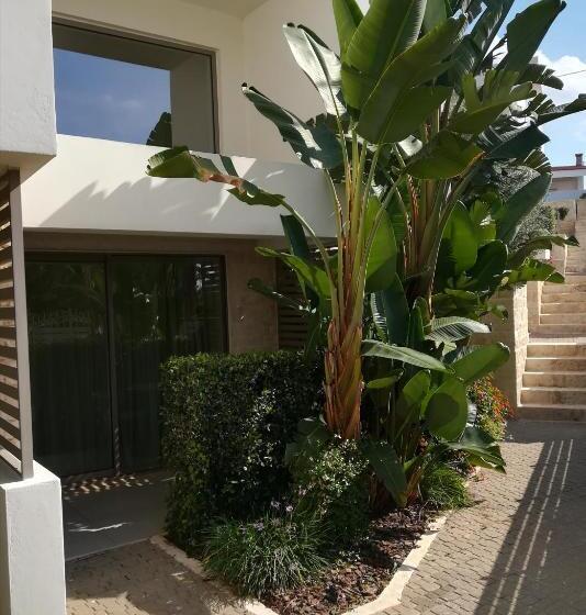 Aloe Boutique Hotel & Suites   Adults Only