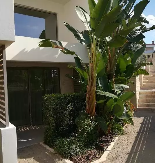 Aloe Boutique Hotel & Suites   Adults Only