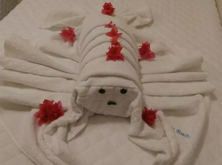 Hotelli Pousada Maria Bonita Porto De Galinhas