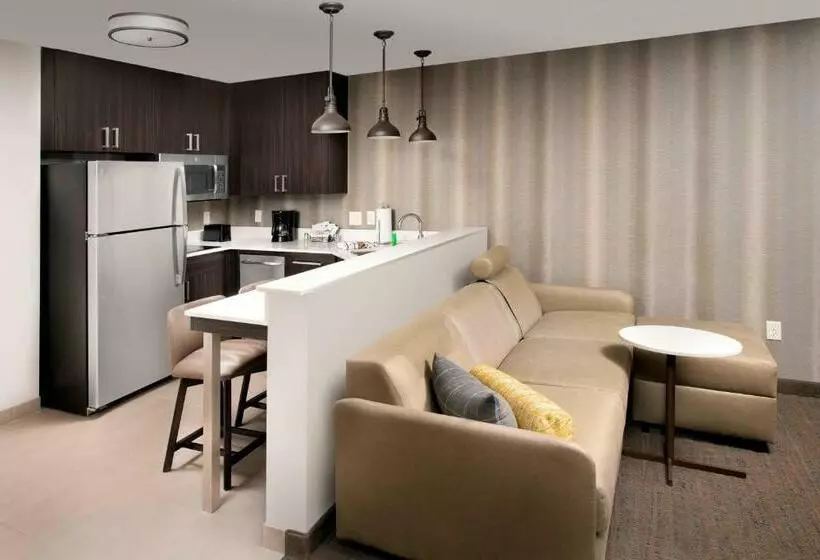 ホテル Residence Inn By Marriott Denver Airport/convention Center