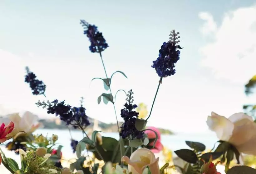 Hotelli Sirena Beach