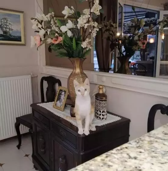 Hotelli Sirena Beach