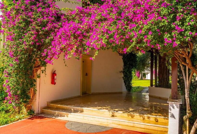 هتل Emelda Sun Club