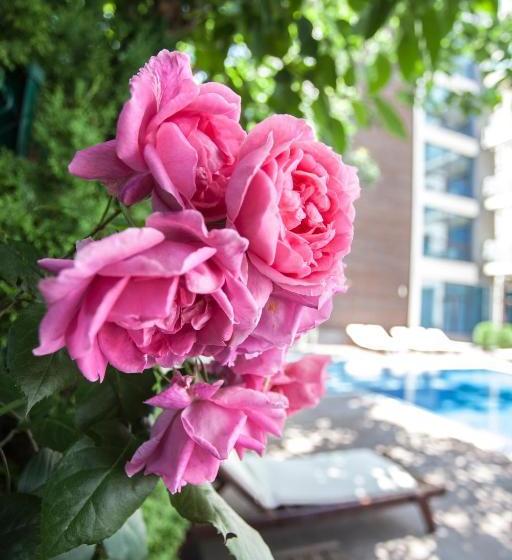 Fotos del hotel Sun Gate Apart:  15