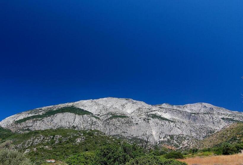 בית מלון כפרי White Rock Apartments