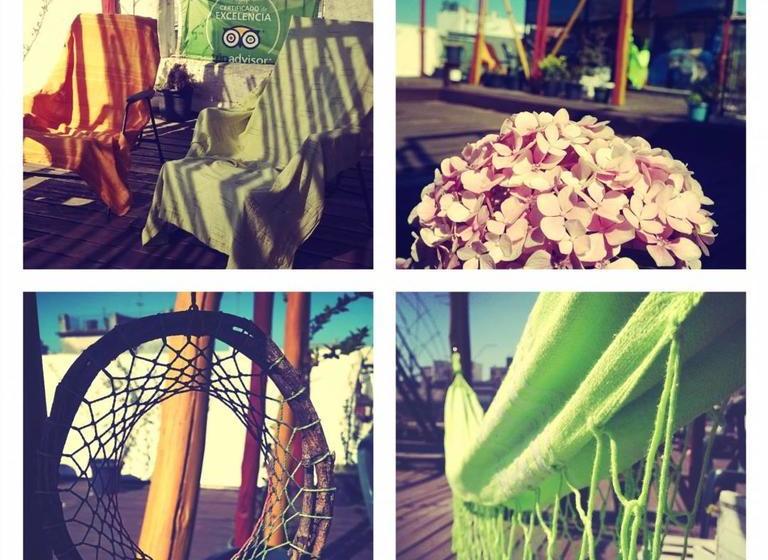 فندق صغير Casa Vegana