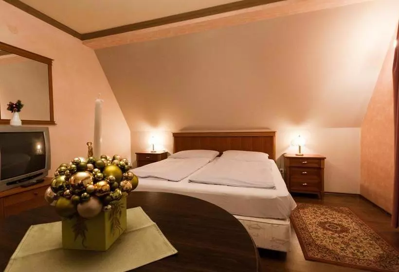 Aamiaismajoitus (B&B) Angyal Panzió