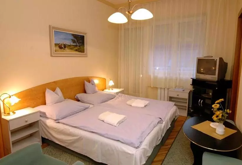 Aamiaismajoitus (B&B) Angyal Panzió