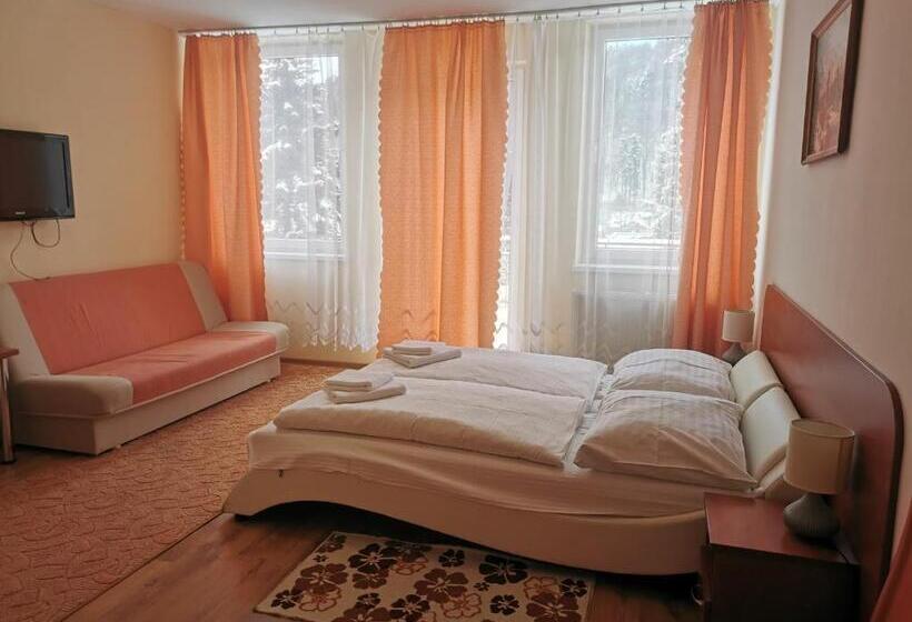 酒店 Penzion Zornicka