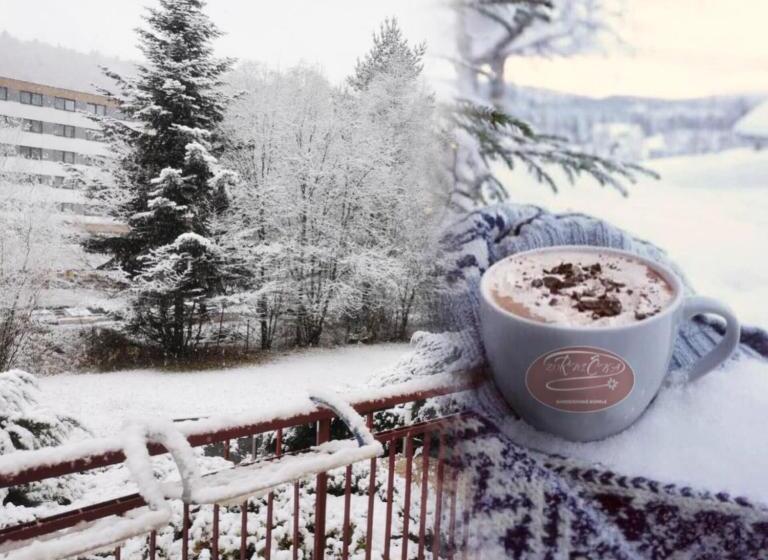 ホテル Penzion Zornicka