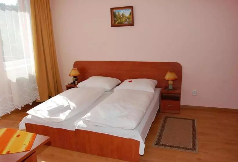 Hotelli Penzion Zornicka