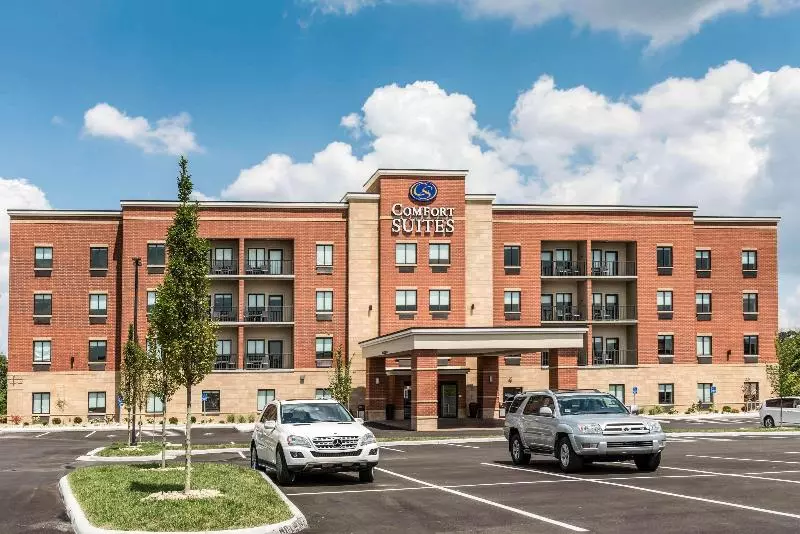 ホテル Comfort Suites Florence  Cincinnati South