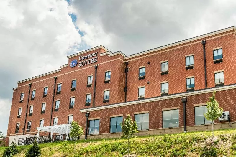ホテル Comfort Suites Florence  Cincinnati South
