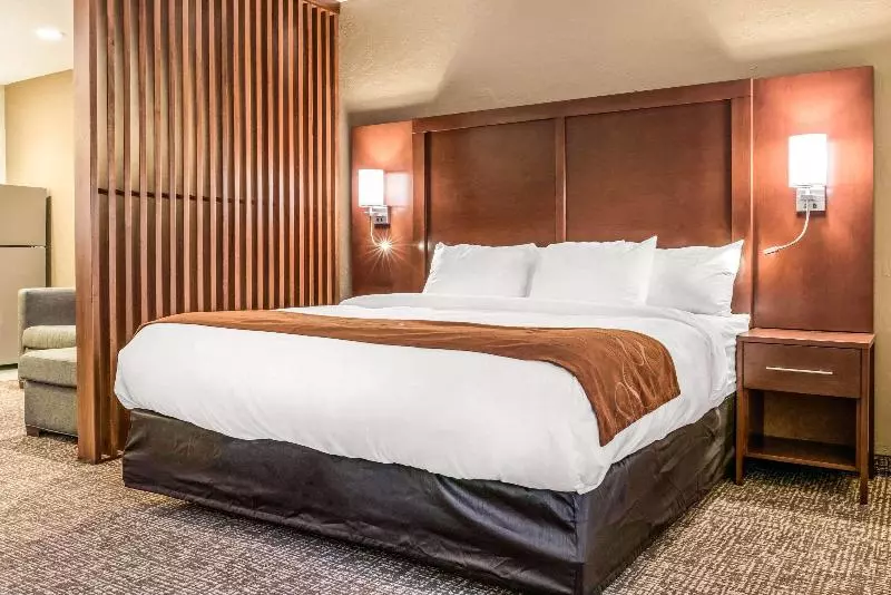 ホテル Comfort Suites Florence  Cincinnati South