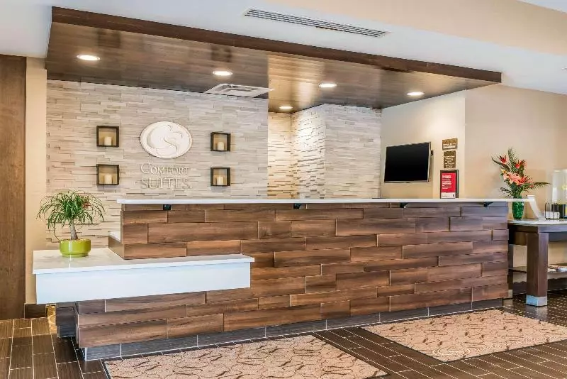 ホテル Comfort Suites Florence  Cincinnati South