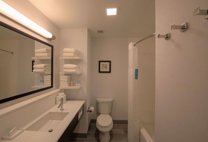 فندق Hampton Inn & Suites Irvineorange County Airport