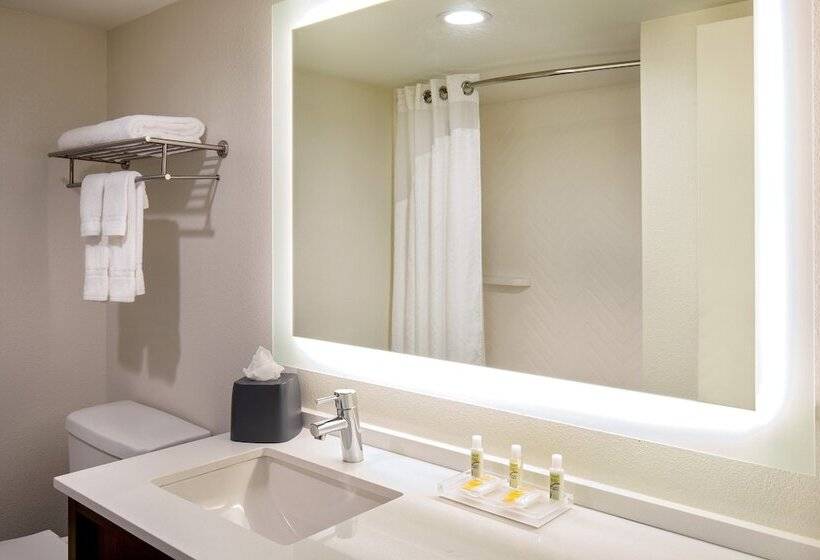 فندق Holiday Inn Newport News   Hampton By Ihg